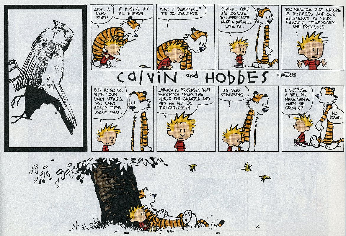 11 Calvin And Hobbes - Life Is A Miracle 